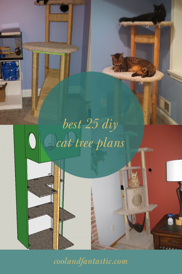 Best 25 Diy Cat Tree Plans Home, Family, Style and Art Ideas